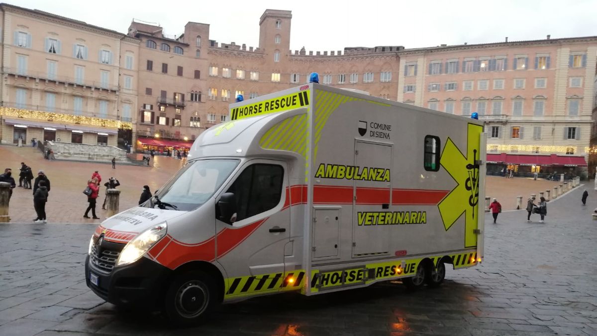 ambulanza veterinaria